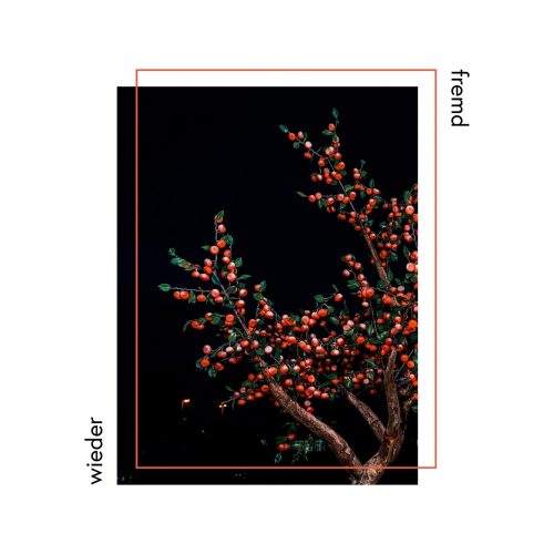 Zoi!s - Wieder fremd (schwarzes Vinyl)